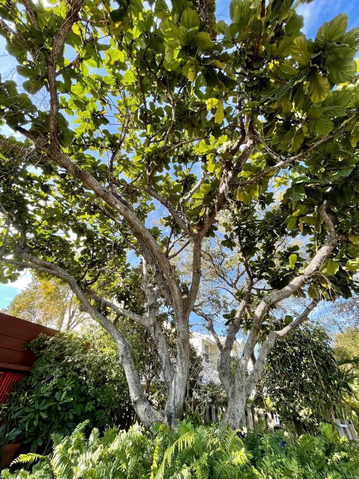 Delight And Cozy Apt Close To Las Olas & The Beach Fort Lauderdale Luaran gambar